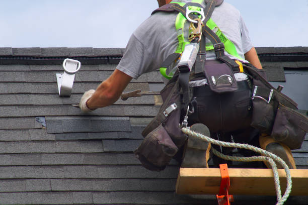 Best Residential Roof Replacement  in Hernando, FL