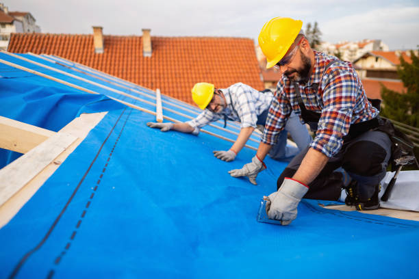 Best Metal Roofing Contractor  in Hernando, FL