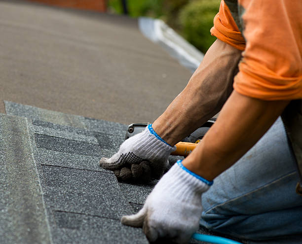 Best Storm Damage Roof Repair  in Hernando, FL